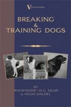 Breaking & Training Dogs By Pathfinder + Dalziel (Hardback)