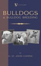 Bulldogs and Bulldog Breeding (Hardback edition)